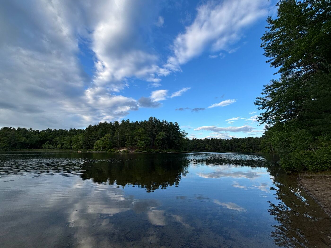 Reflections on a quiet pond
