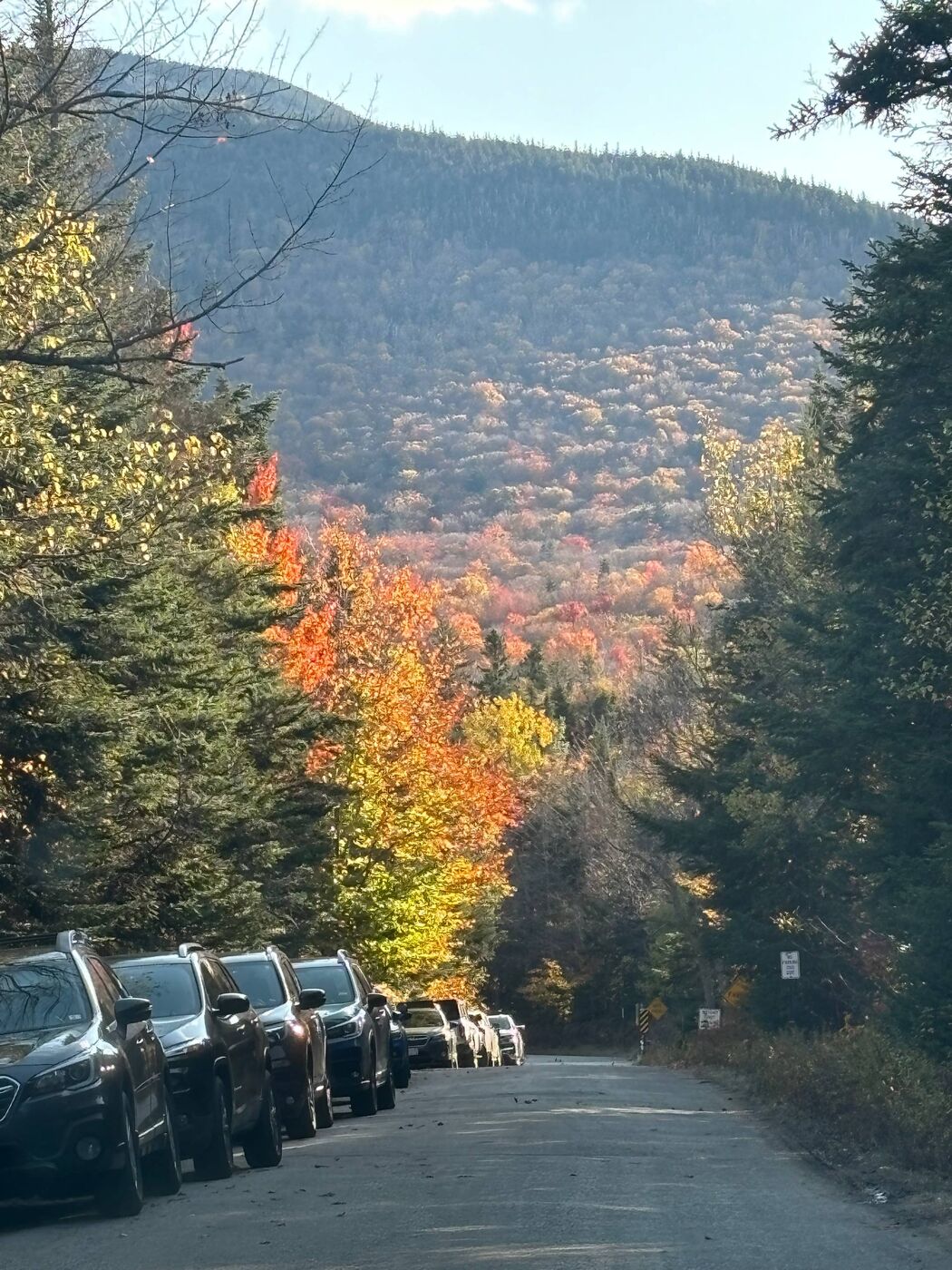 Fall foliage in the White Mountains